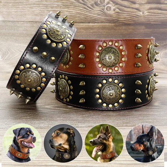 Leather dog collar with studs and metal decorations for large dogs