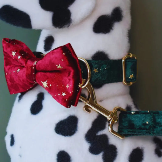 Luxurious dog collar with lead and bow tie - velvet design with star pattern for festive occasions