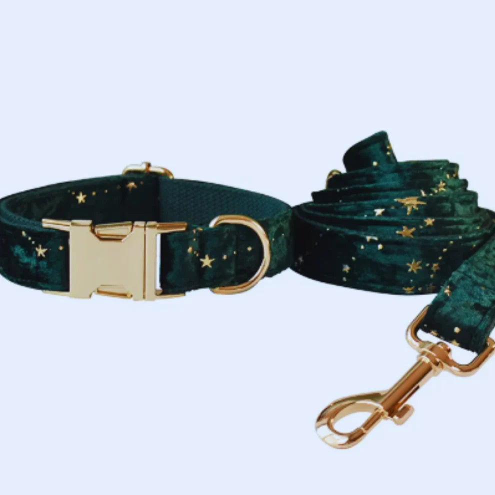 Luxurious dog collar with lead and bow tie - velvet design with star pattern for festive occasions