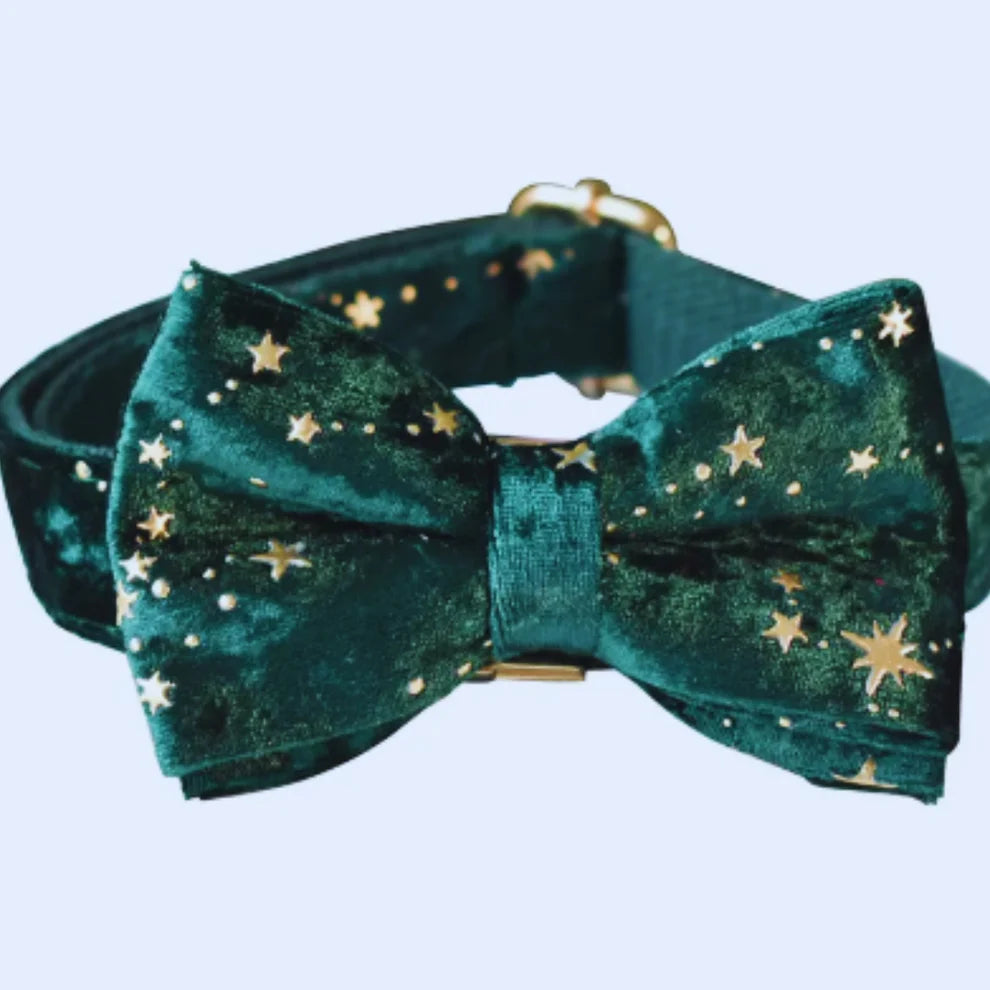Luxurious dog collar with lead and bow tie - velvet design with star pattern for festive occasions