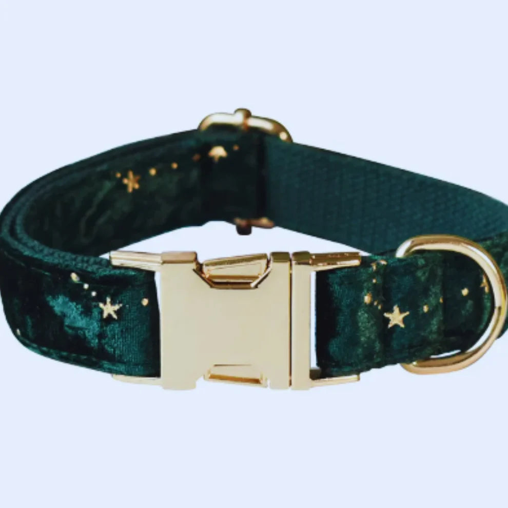 Luxurious dog collar with lead and bow tie - velvet design with star pattern for festive occasions