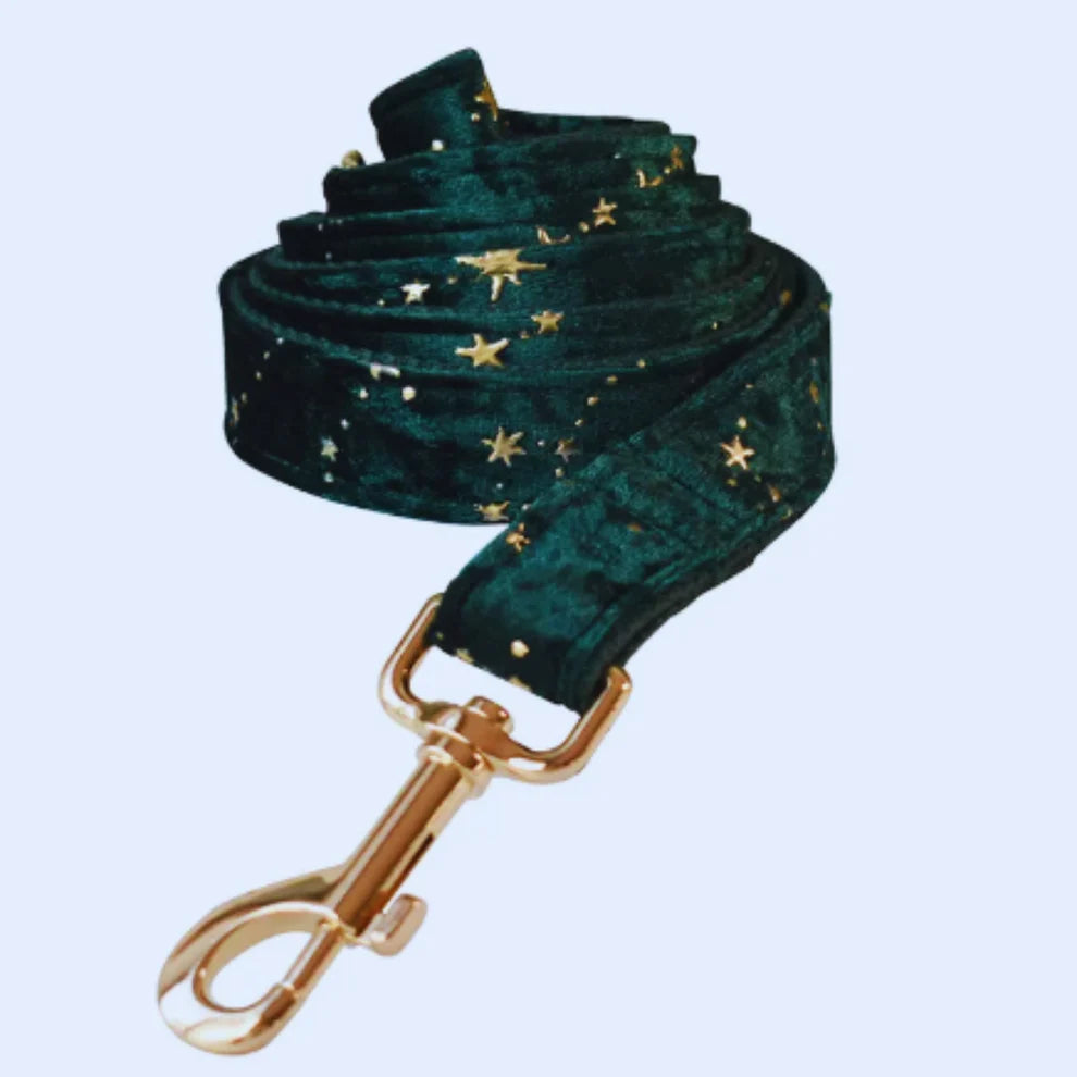 Luxurious dog collar with lead and bow tie - velvet design with star pattern for festive occasions
