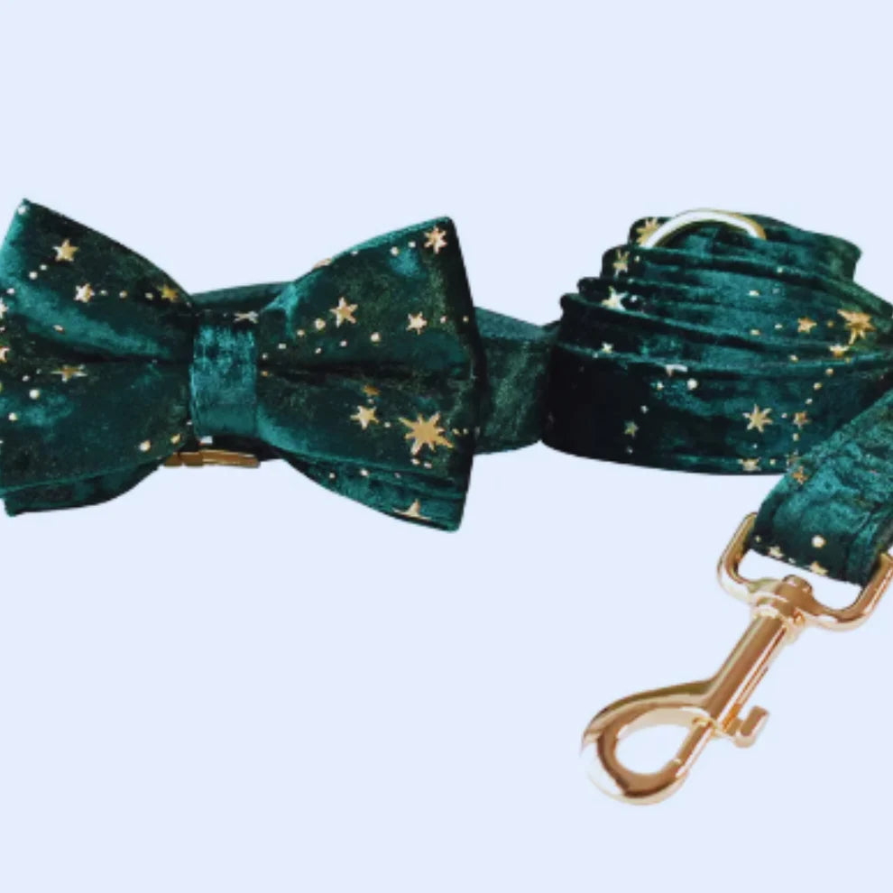 Luxurious dog collar with lead and bow tie - velvet design with star pattern for festive occasions