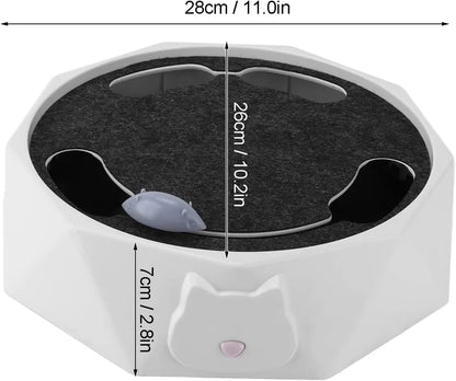 Interactive Mouse hide-and-seek Game for Cats