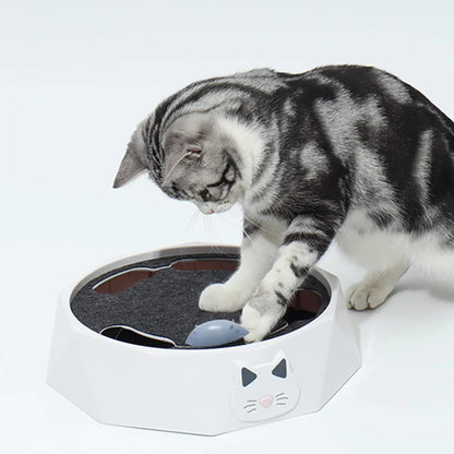 Interactive Mouse hide-and-seek Game for Cats