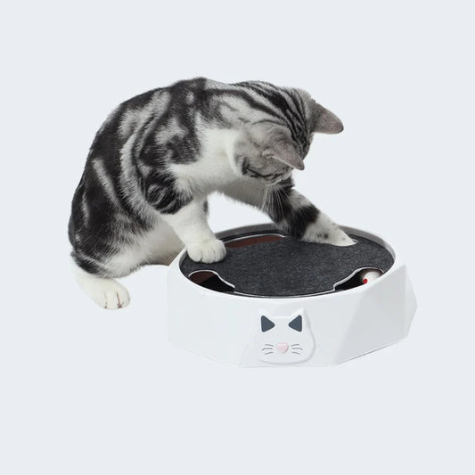 Interactive Mouse hide-and-seek Game for Cats