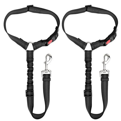 Dog Car Seat Belt