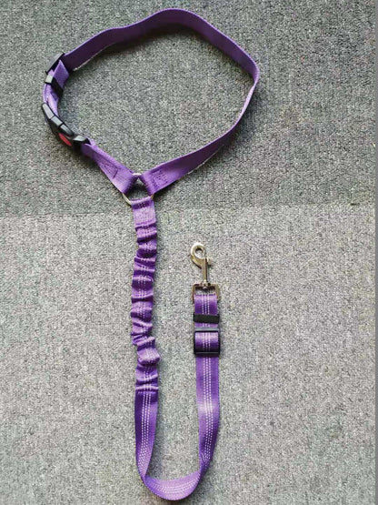 Dog Car Seat Belt