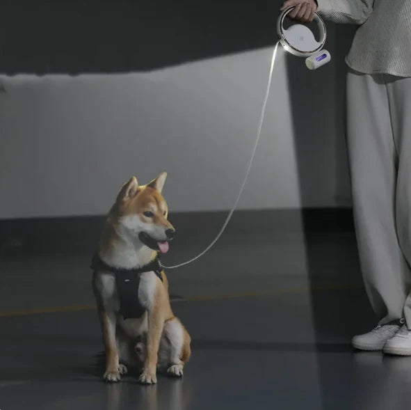 Premium dog lead with LED light and retractable mechanism for safe walking 3 M