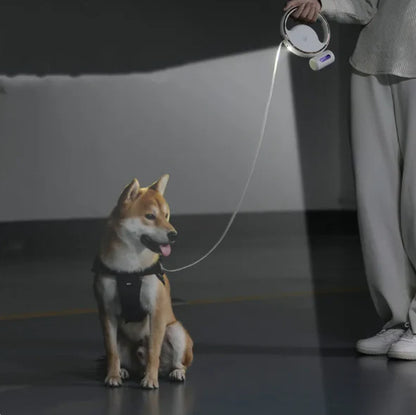 Premium dog lead with LED light and retractable mechanism for safe walking 3 M
