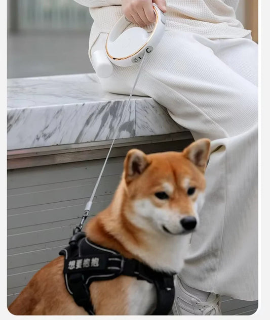 Premium dog lead with LED light and retractable mechanism for safe walking 3 M