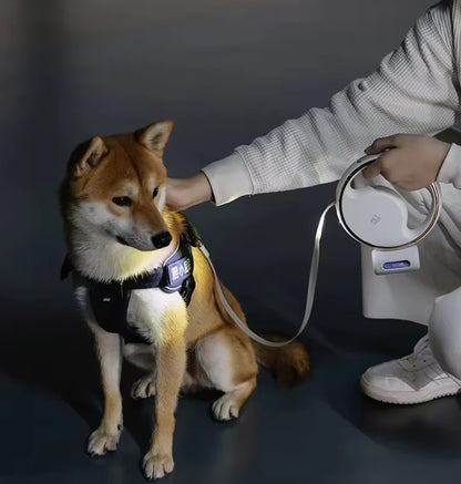 Premium dog lead with LED light and retractable mechanism for safe walking 3 M