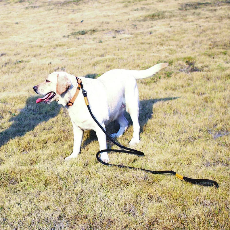 Dog leash made from durable nylon rope for safe handling