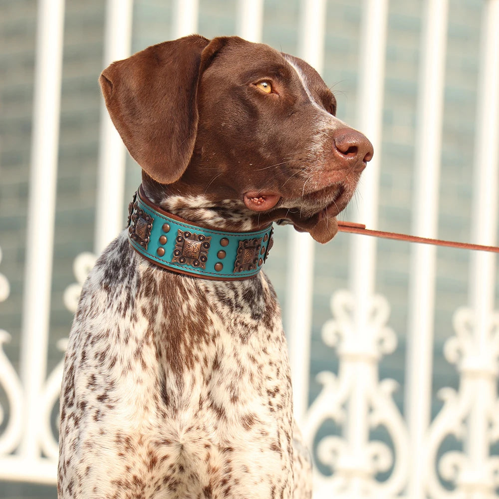 Luxury spiked leather dog collar for large dogs