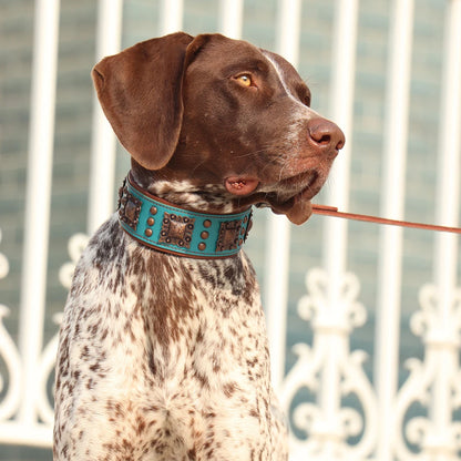 Luxury spiked leather dog collar for large dogs