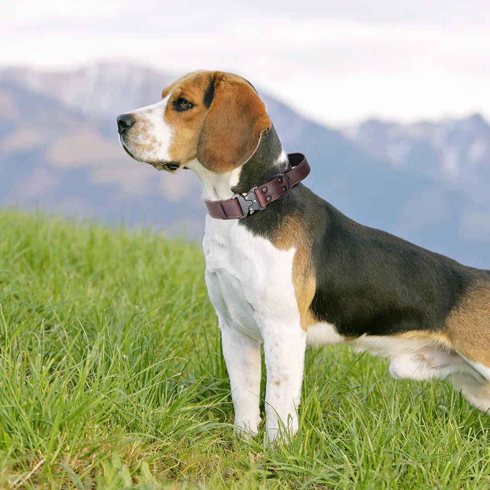Premium Soft Real Leather Dog Collar