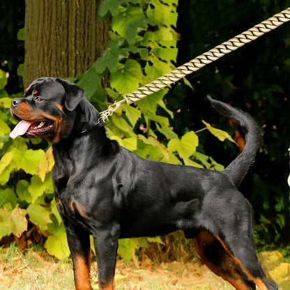Dog Lead made of Titanium Steel - suitable for 19mm (Cuba V2) or 32mm thick "Toronto"