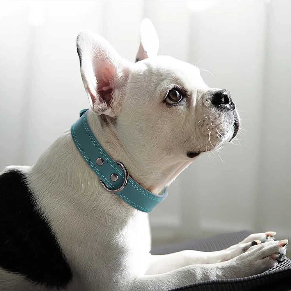 Pet-Fix soft genuine leather dog collar, Artico