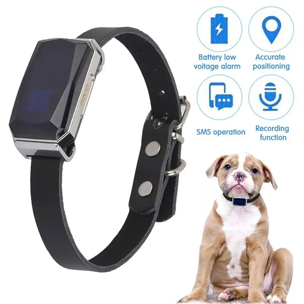 Genuine GPS tracker for pets ‘Spie’ incl. tracking data storage