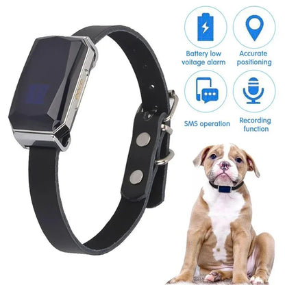 Genuine GPS tracker for pets ‘Spie’ incl. tracking data storage