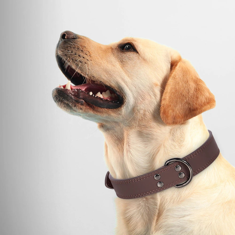 Pet-Fix soft genuine leather dog collar, Artico