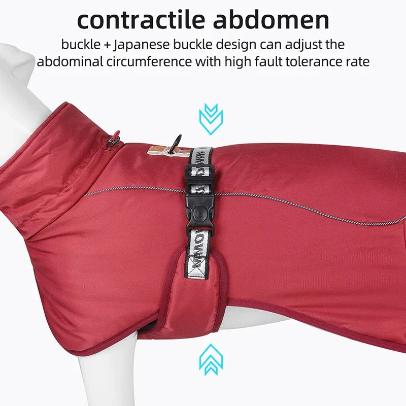 Waterproof raincoat for dogs, "Storm Protector Stage1"