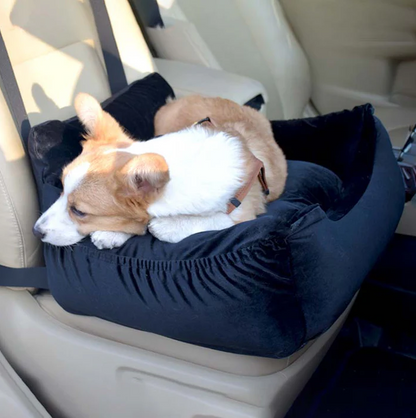 Comfortable car seat cover for pets – transport  for dogs and cats