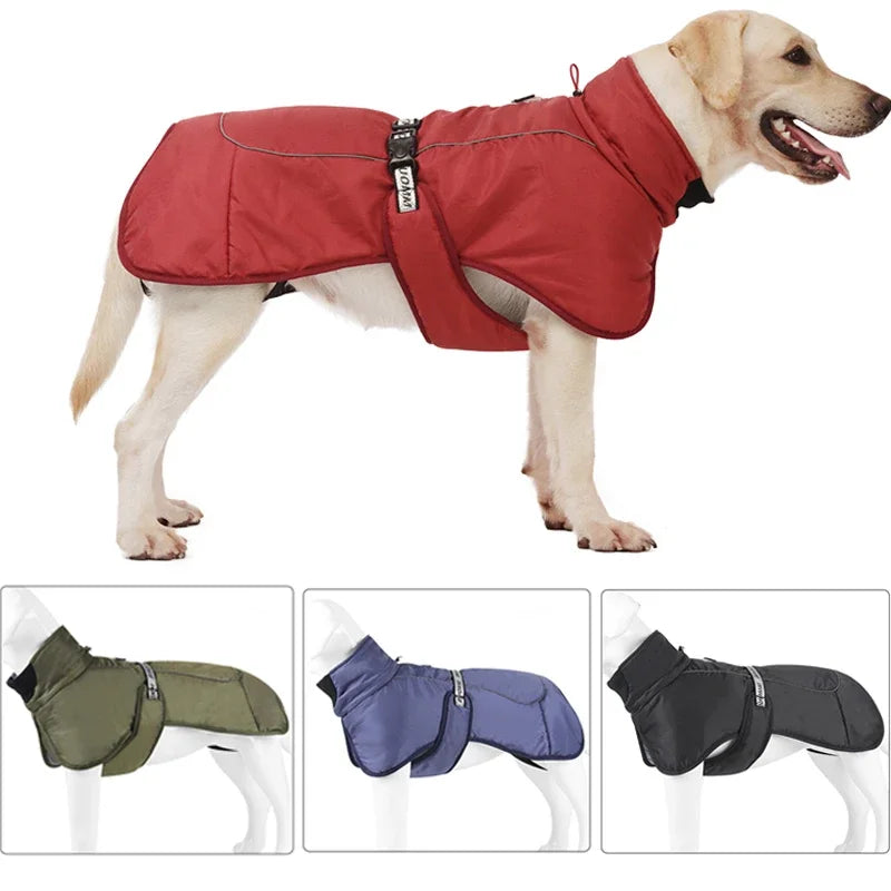 Waterproof raincoat for dogs, "Storm Protector Stage1"