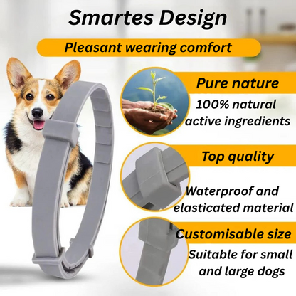 The NaturaGuard 2 - Tick and Flea protection Collar