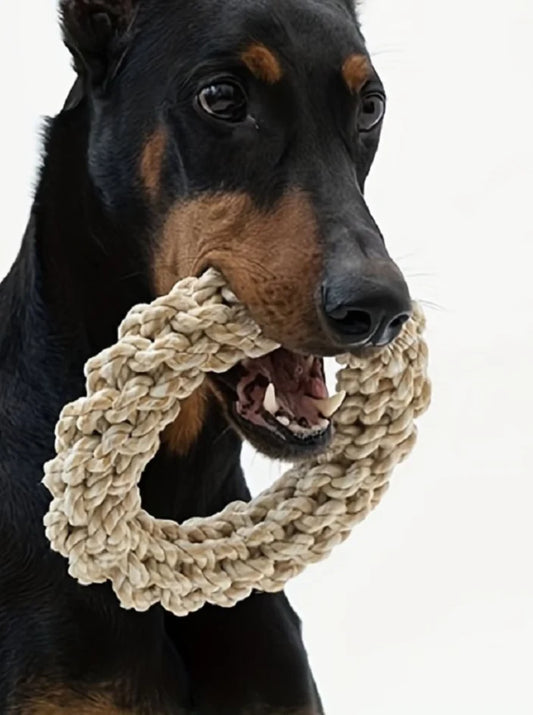 Robust chewing ring for dogs - Natural rope toy for healthy gums
