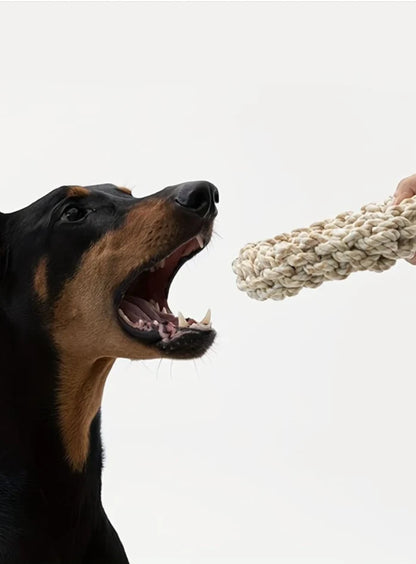 Robust chewing ring for dogs - Natural rope toy for healthy gums
