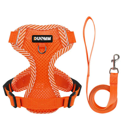 Dog harness with lead for small dogs with reflector