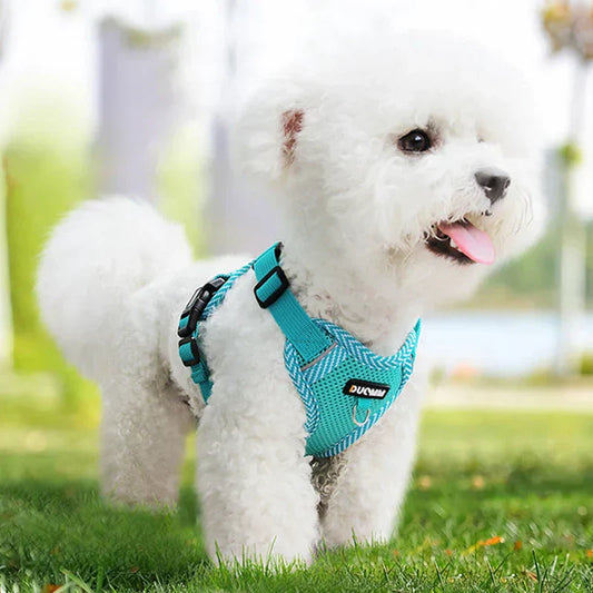 Dog harness with lead for small dogs with reflector