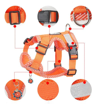 Dog harness with lead for small dogs with reflector