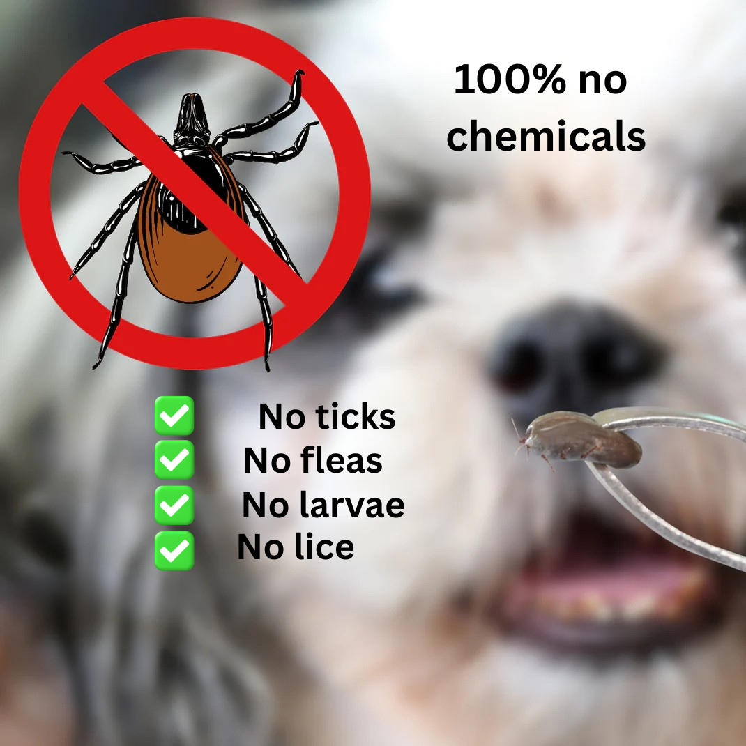 The NaturaGuard 2 - Tick and Flea protection Collar