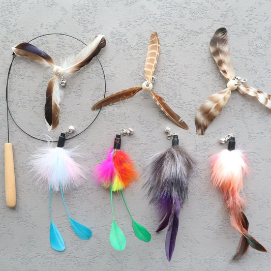 Cat feather stimulation toy