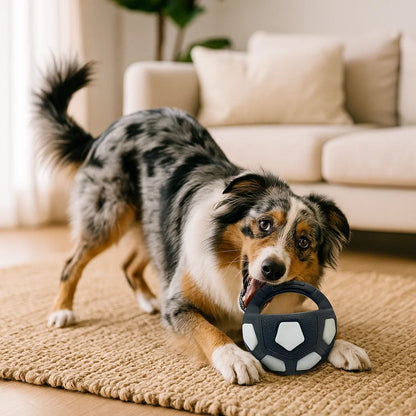Robust toy ball for relieving stress in dogs