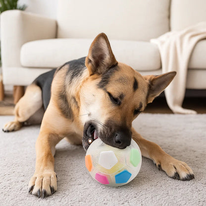 Robust toy ball for relieving stress in dogs