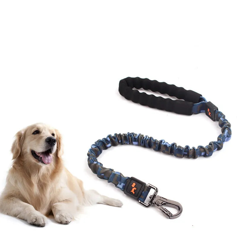 Elastic dog leash with shock absorption